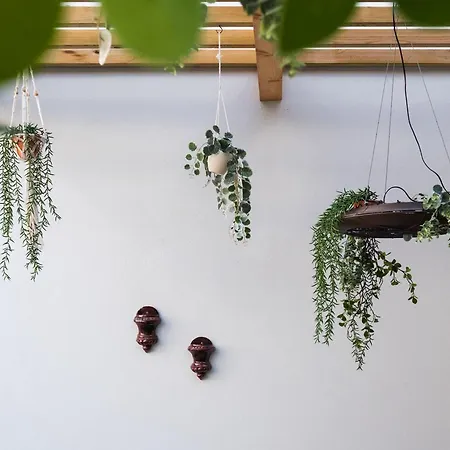 Auberge de jeunesse Sky Pdl Ponta Delgada